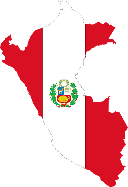 Croquis de Perú con bandera Copa América