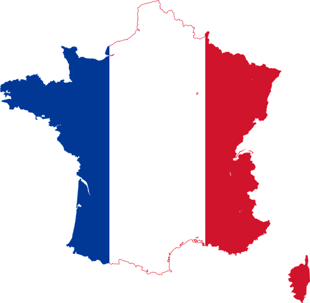 Croquis de Francia con bandera Eurocopa